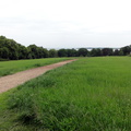 DSC02311